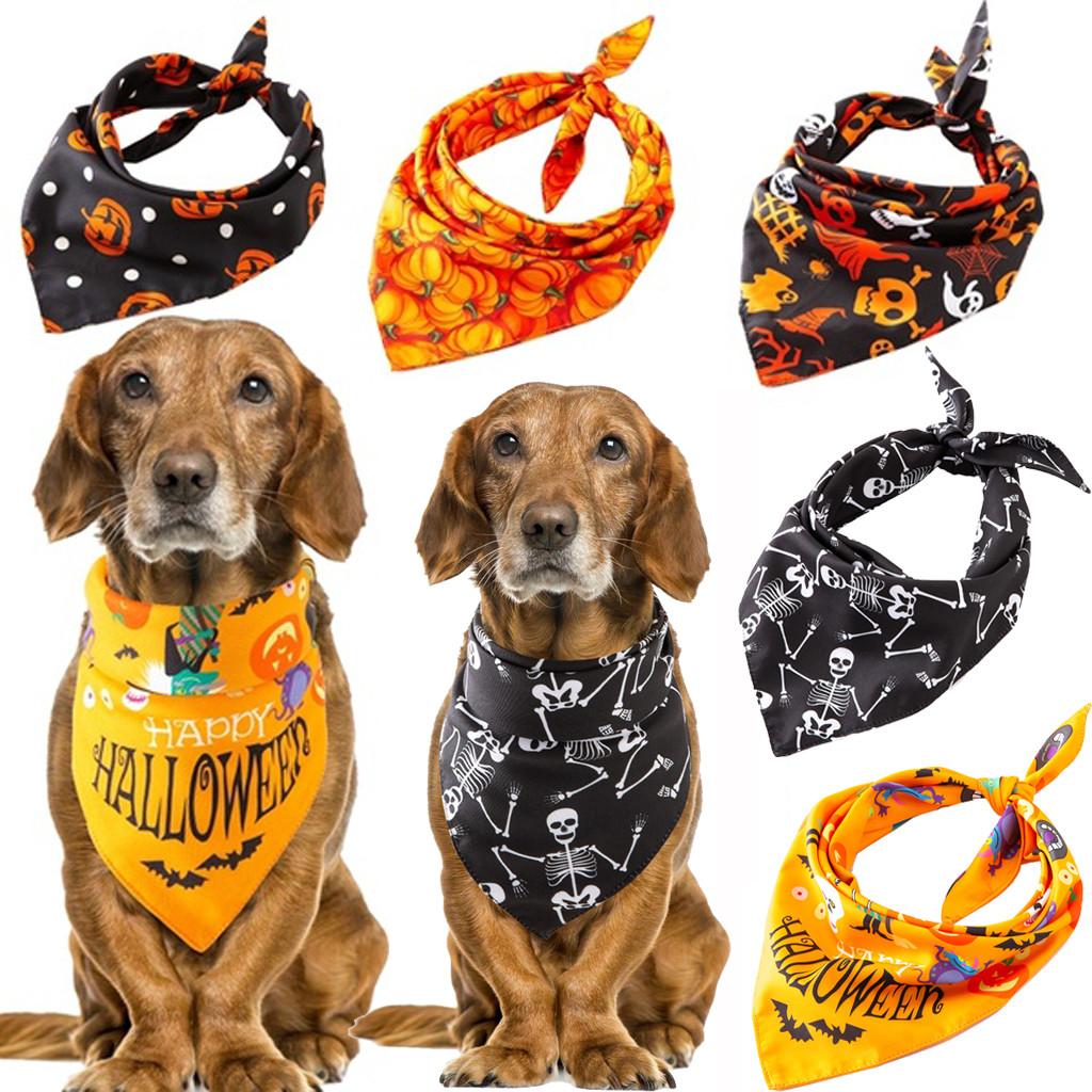 thumbnail image 2 of Sale Dogs Trust Bandana Clearance A Dog Is For Life Bandana Dog Bandana With Paw 2 of 10