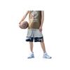 Li-Ning Badfive Series Logo Print Sweat-Absorbent Comfortable Loose Sports Casual Shorts Men Bottoms Gray Cold-Tan Black AAPS031-6