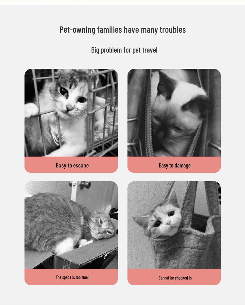 Portable Pet Travel Crate: Breathable, Handheld Carrier for Cats & Dogs