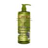 Schwarzkopf Ginger Essence Oil Control Shampoo