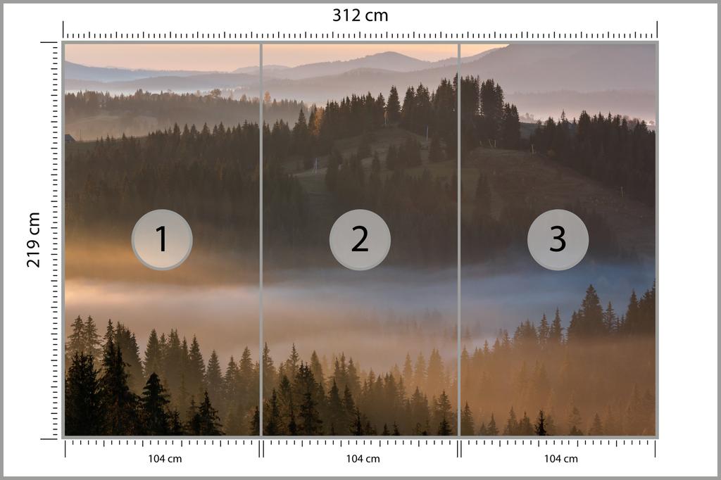 Fototapeta Les v mlze, netkaná, 312x219