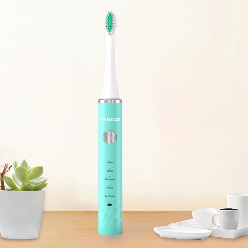 Yangzi DFC-001 Portable Sonic Electric Toothbrush CN plug (adapter included)