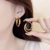 New Popular Metal Ring Earrings with A Sense of Luxury, Unique Earrings, Fashionable and Personalized Earrings