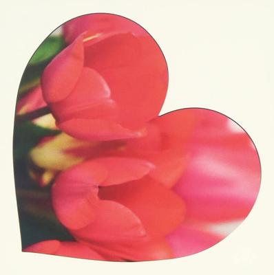 CD DJ TORA  TAKAMI BRIDAL Presents Love PopKIS Japan Japanese Club Dance Used