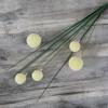 False Flower Excellent Realistic Non-fading Simulation Dandelion Dandelion Ball Artificial Flower Decor Fake Flower Photography Props