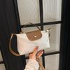 2025 Fall New Small Square Bag for Women, Minimalist Design Crossbody Shoulder Bag, Fashionable Casual Purse