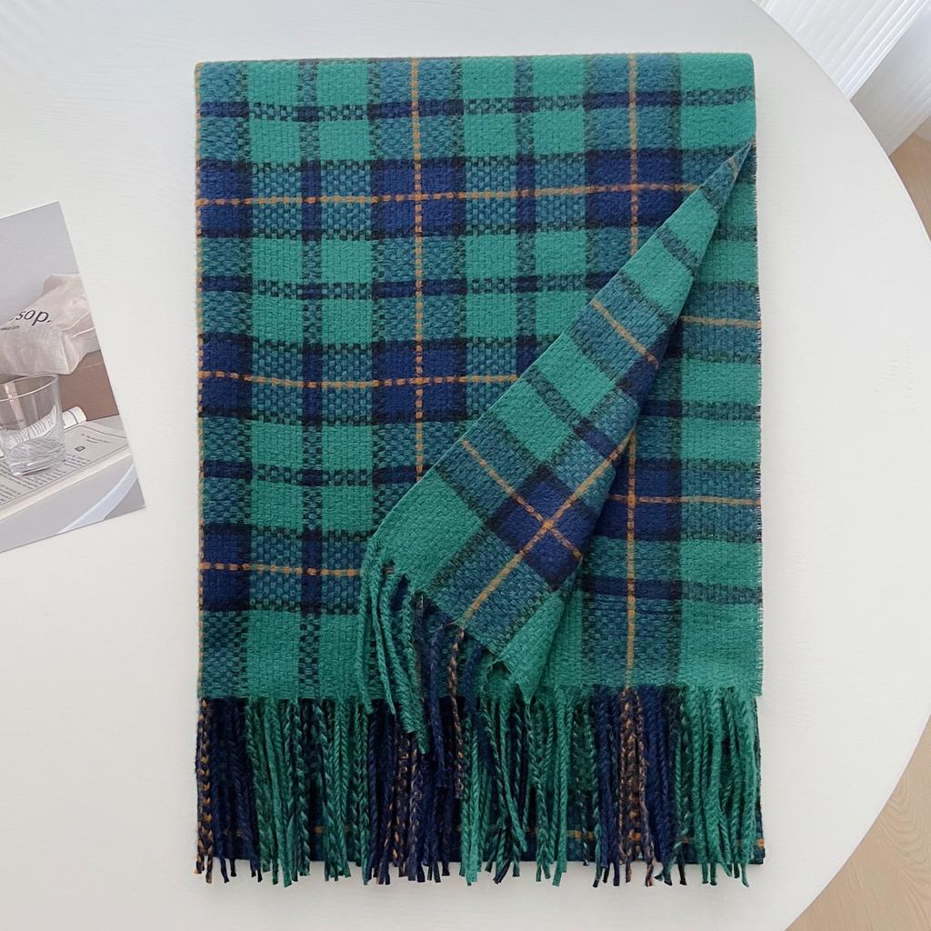 Autumn and Winter New Korean Lines Color Matching Imitation Cashmere Plaid Simple and Versatile Shawl Fringed Warm Scarf Women