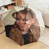 1pc German Top Singer Ayliva Umbrella Portable Folding Umbrella Iron Frame Hole Bone Structure Outdoor Home Umbrella