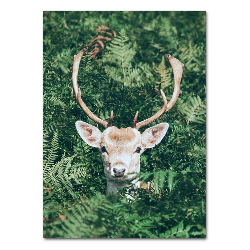 Spring Flowers Tulips Lemon Nature Posters Prints Jungle Deer Bike Wall Art Pictures Canvas Painting Nordic Home Room Decor