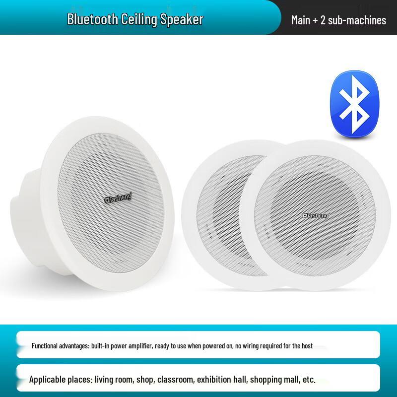 QIASHENG Commercial Bluetooth Ceiling Speaker System