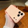 Liquid Silicone for iPhone17ProMax Magnetic Mobile Phone Case 16 Fine Hole Lens Apple 13 Soft Protective Case