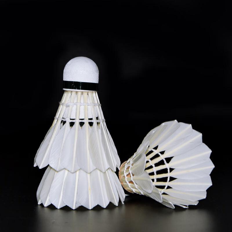 

WEZHO Master No. 6 Badminton Shuttlecocks