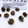 Plastic Pine Cone Ornaments: 2-6 Cm Christmas Craft & Photography Props