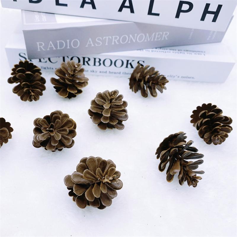 Plastic Pine Cone Ornaments: 2-6 Cm Christmas Craft & Photography Props