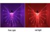 Halloween LED Glowing Butterfly Wings Costume