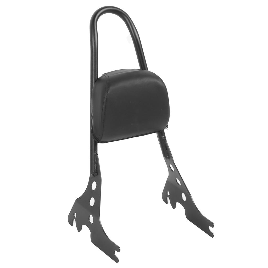 Detachable Motorcycle Backrest Bar Pad Kit Fit for XL883C XL883R 200R 200C XLH883 04-19