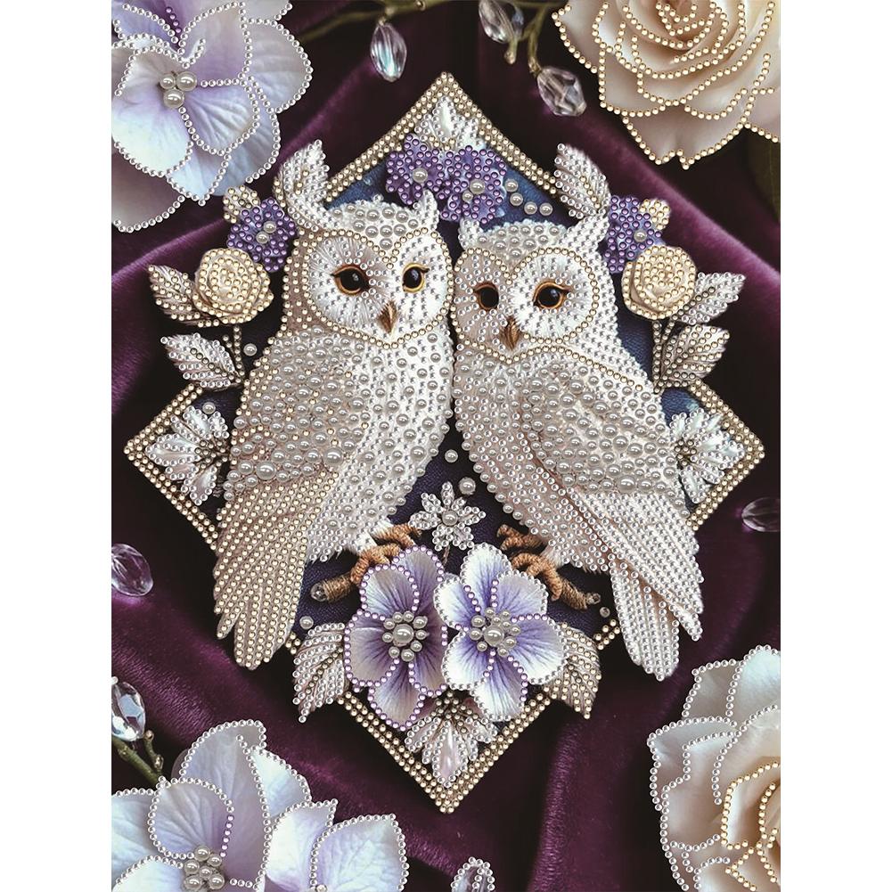 Sieraden Dier Speciaal Vormgegeven 5D DIY Gedeeltelijke Boor Diamant Schilderen Kits voor Volwassenen Huisdecoratie Diamant Kunst Kit 11.81x15.75inch
