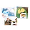 Pororo Korean Vocabulary Object Flash Cards 120pcs