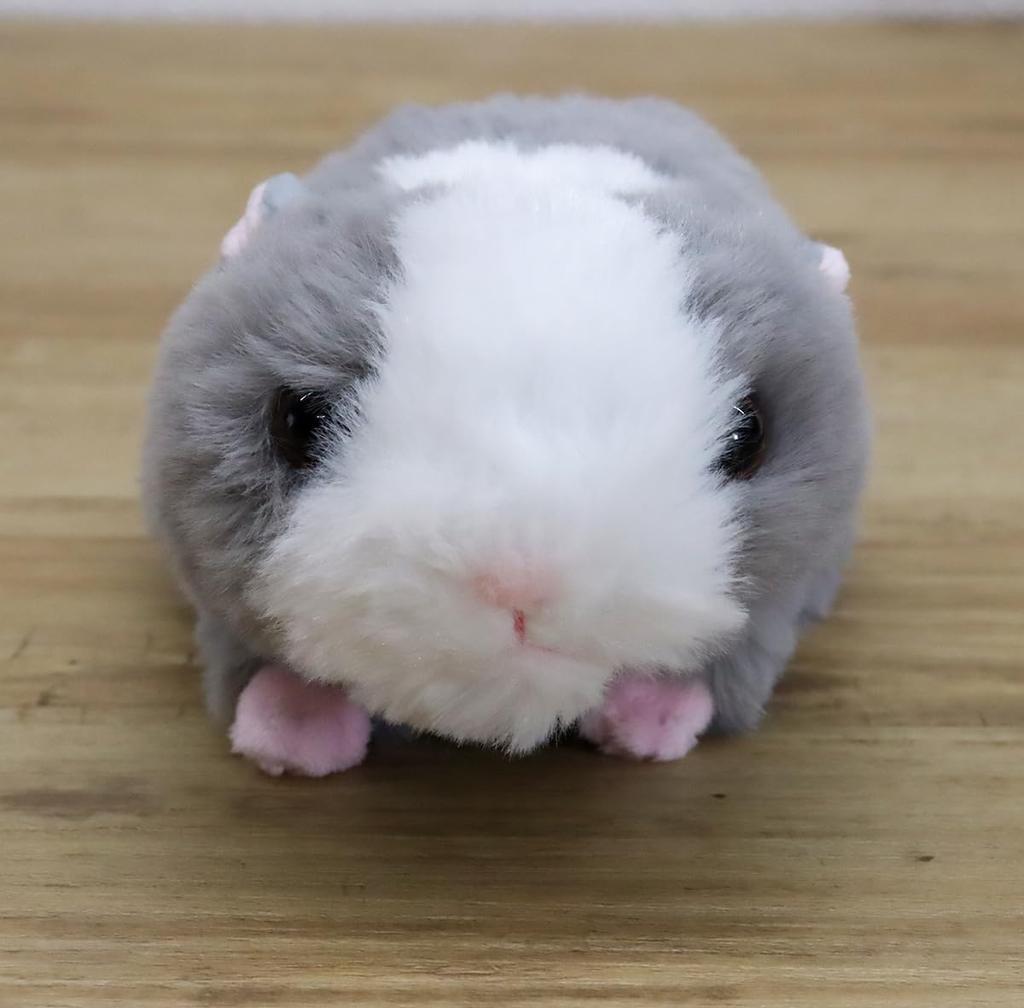 Takeoff Guinea Pig Grey