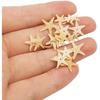 Julie Wang 20PCS 0.2-0.5 Inches Tiny Small Miniature Natural Starfish Micro-Landscape Beach Wedding Nautical Ornament Shells Resin Craft DIY Vase
