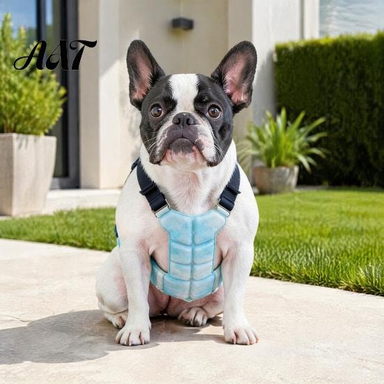 Outdoor Dog Cooling Accessories Vest, Breathable Coat with Gel Ice Packs, Pet Overheating Prevention Gear Summer Jacket for Large Medium
