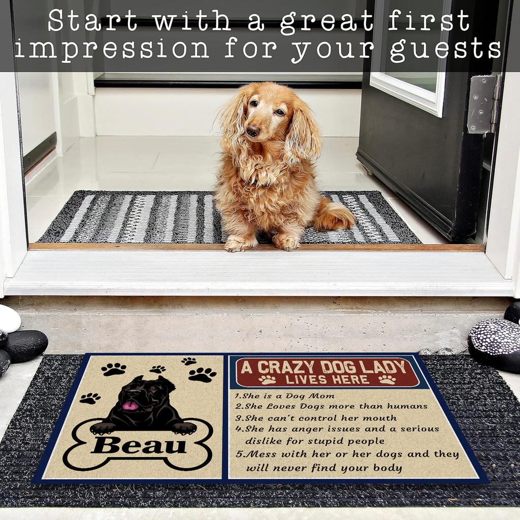 A Crazy Dog Lady Lives Here Doormat Customize Dog Po Name Non slip Rubber Backing Outdoor Entrance Floor Mat Decorative Rug