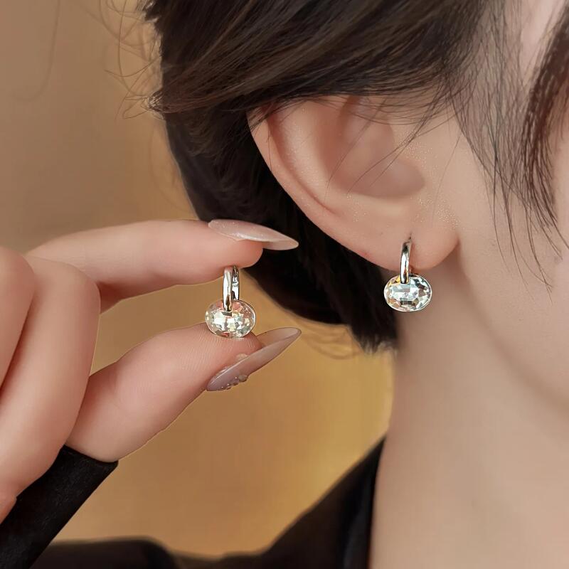 Exquisite Silver Color Oval Zircon Crystal Earrings for Women Girls Unique Jewelry Luxury Sensation Minimalist Ear Accessories