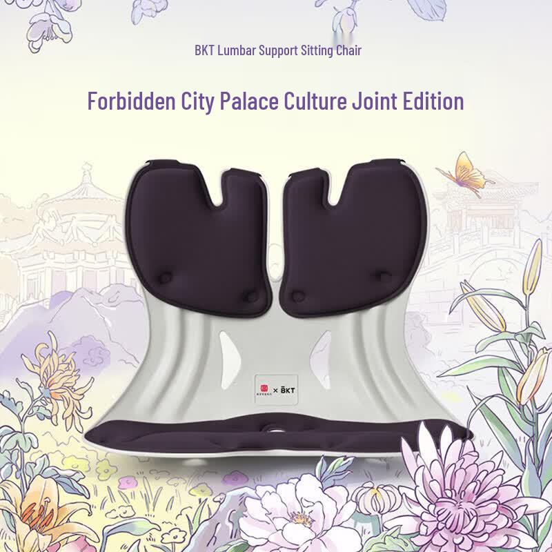 BKT Ergonomic Lumbar Support Posture Cushion
