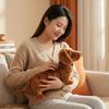 Dachshund Soft Plush Toys Plushies Animal Doll Cute Simulated Dog Throw Pillow Sofa Bed Lumbar Cushion Suitable For Home Decor