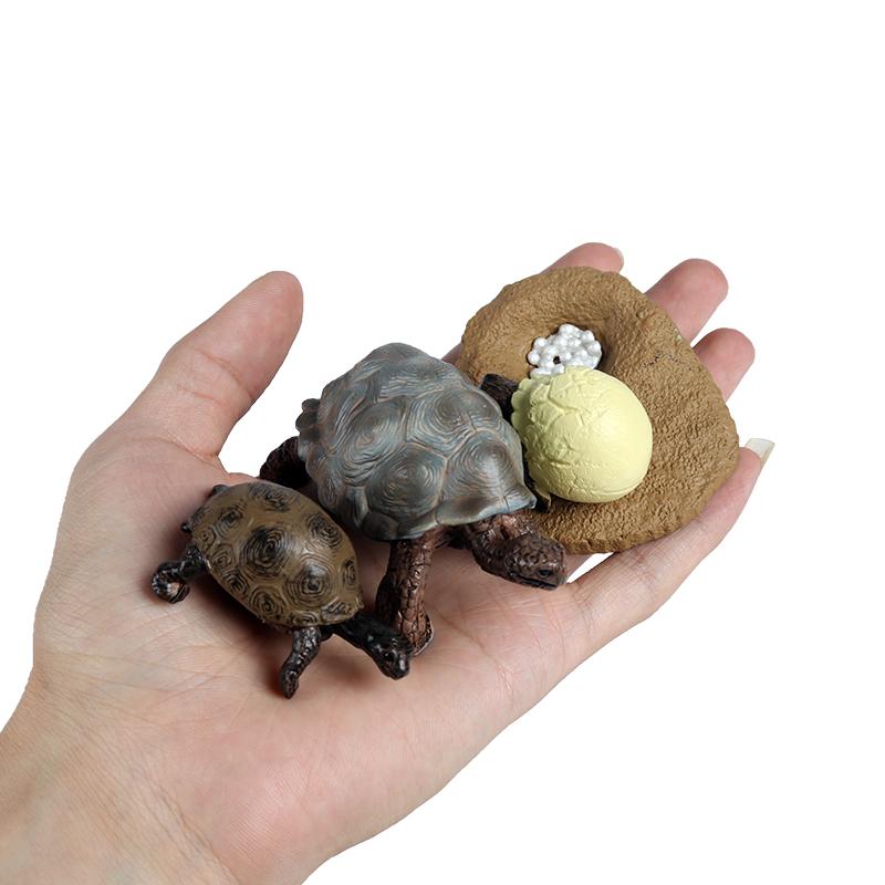Oenux Ocean Animals Leatherback Tortoise Turtle Growth Cycle Sea Life Model Figurines Action Figures PVC Education Kid Toy Gift