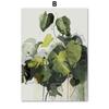 Green Plant Monstera Scallop Boho Abstract Flower Nordic Wall Art Canvas Painting Posters Prints Pictures for Living Room Decor No Frame