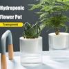 Transparent Hydroponic Planter Plastic Water Storage Flower Pot Durable Potted Flower Pot  Garden
