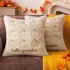 Pumpkin Decorative Pillowcase Beige Orange Seasonal Pillow Covers Cozy Square Pillow Case  Home Use