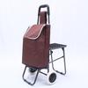 Outdoor Folding Shopping Cart
