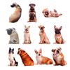 Biegsames Kissen mit Hundeaufdruck, weiches und bequemes Spielzeugkissen mit 3D-Augen, Geschenk für Freundin, Wohnaccessoires