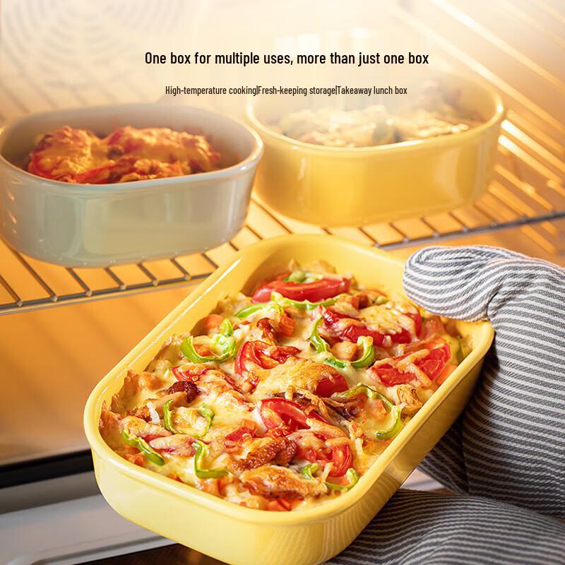 Buydeem Ceramic Piggy Portable Lunch Box