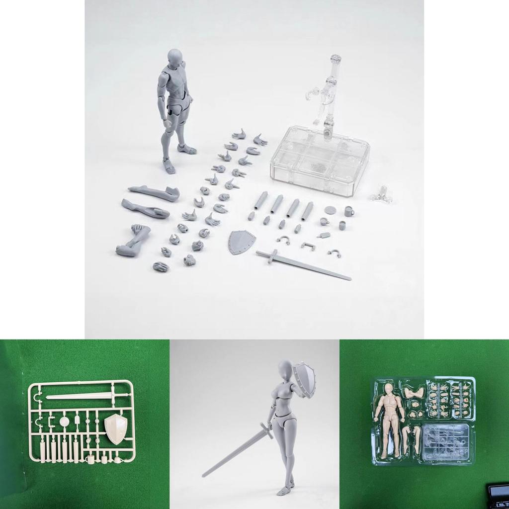 Takarai Rihito Prime Body Model With Articulation For Manga Illustration And Display