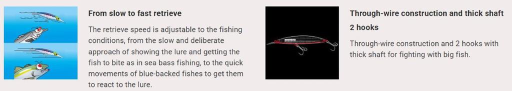 Yo Zuri Duel Hardcore Bullet Fast 100 mm Sinking Lure F1242-HZLS (2842)