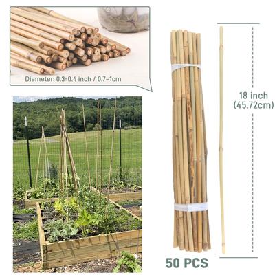 50 stuks / 18 inch Bamboe Plantensteunen voor Binnen Buiten Planten, Tuin Plantondersteuningsstokken