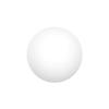 Free Shipping - AB1S65 Table Tennis: White, High Elasticity, Durable for Training and Competition