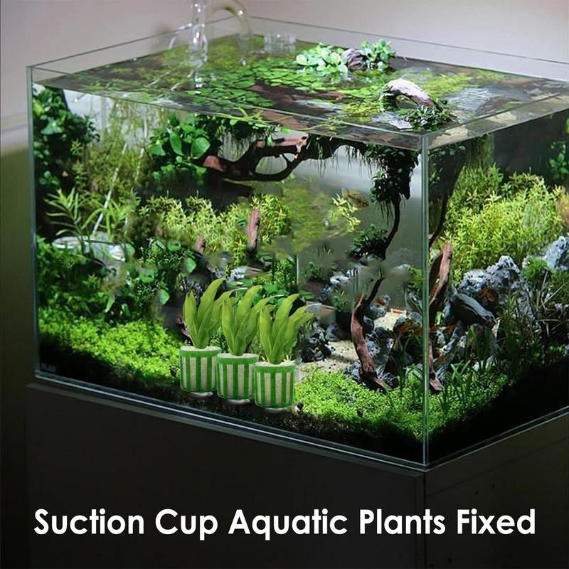 Pflanzen Fixierring Set Für Aquatik 10 Stück Fischbecken Wasserpflanzen Fixierring Aquarium Pflanzenkorb Landschaftsdekoration