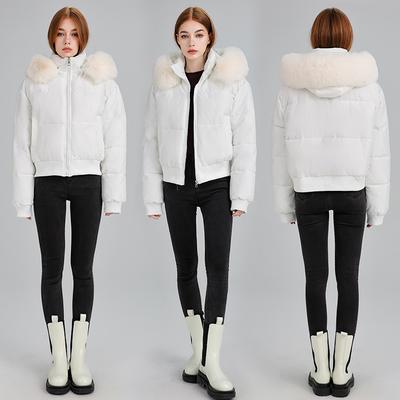Designed Hooded Fur Collar Cotton Coat for Women Winter New Thickened Short Bread Coat