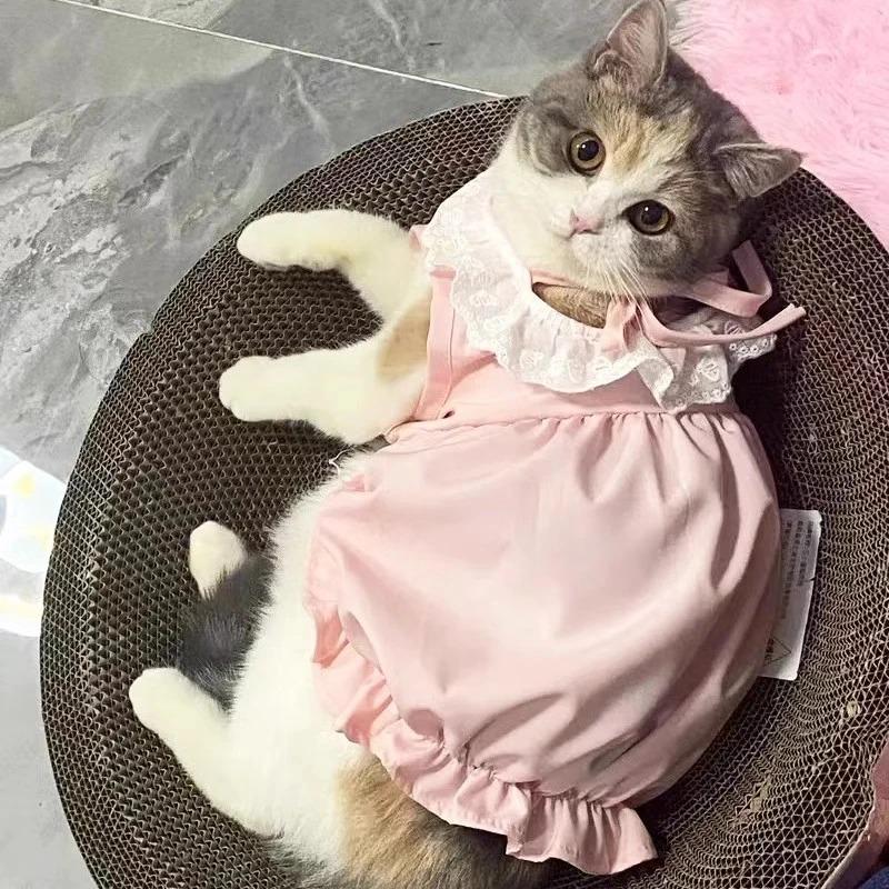 Breathable Anti-Shedding Princess Dress for Kittens and Cats, Ideal for Ragdoll and British Shorthair