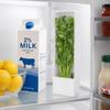 ABS Fresh Herb Keeper Clear Window Herb Preserver Saver Herb Storage Container  Fridge Organization