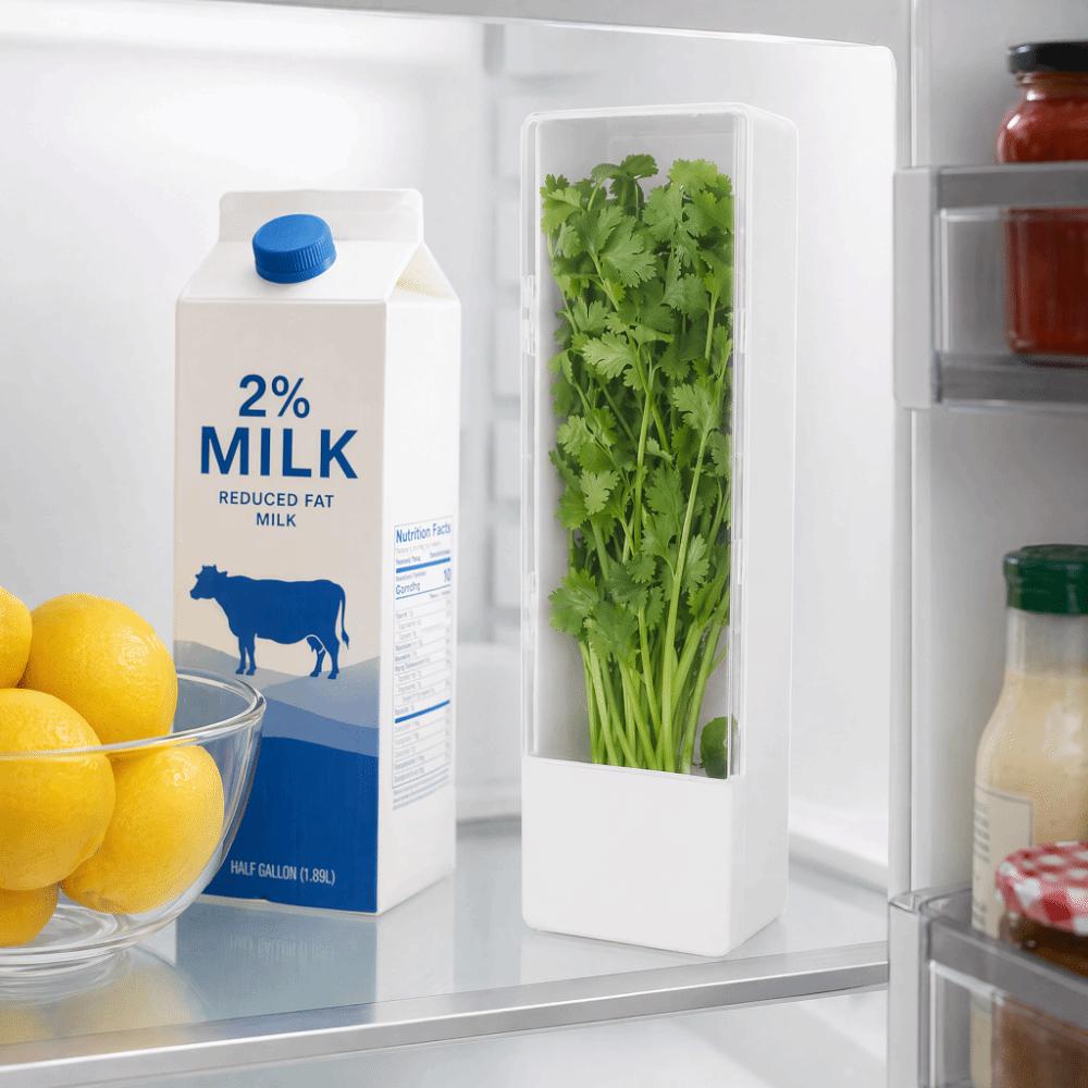 ABS Fresh Herb Keeper Clear Window Herb Preserver Saver Herb Storage Container Fridge Organization