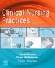 The Clinical Nursing Practices : Guidelines for Evidence-Based Practice Book