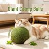Petshion Catnip Ball Toy