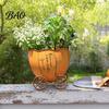 Office Desk Planter Retro Pumpkin Cart Planter, Decorative Metal Flowerpot with Drainage Hole, Stylish Unique Flower Pot Plant for Indoor Outdoor Home
