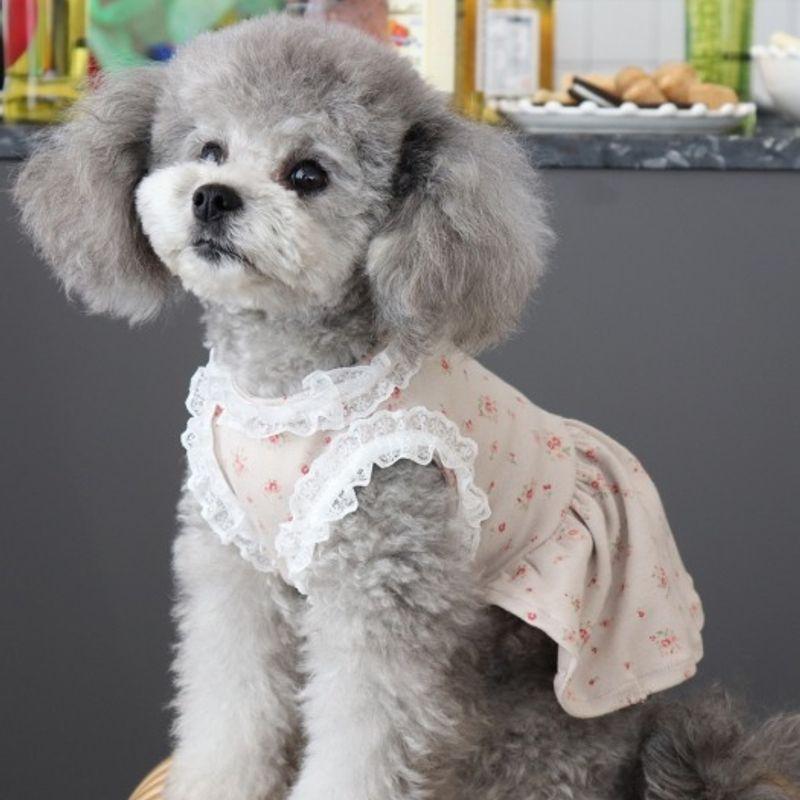 Haneul Mung Mung Sky Woof Woof Baby Sailor Moon One Piece 3 Colors