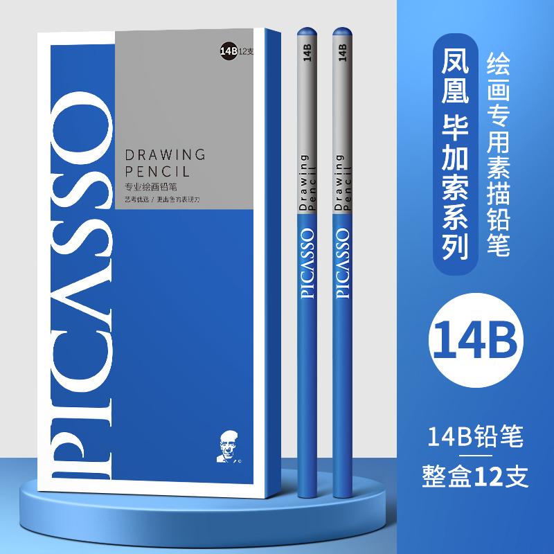 PHOENIX PICASSO Professional Sketching Pencils for Art Students Sketching Graphite Leads in 2B/8B/14B Grades Pull-out Design